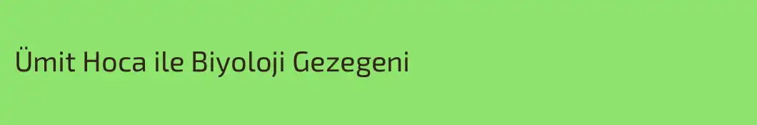 Ümit Hoca ile Biyoloji Gezegeni
